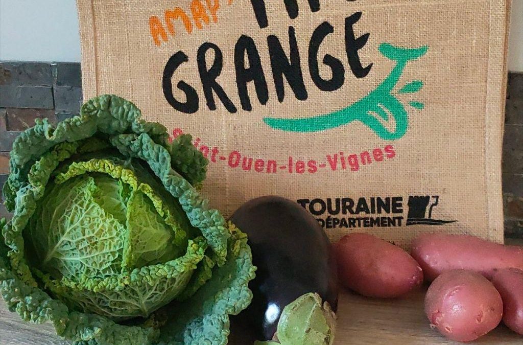 Les sacs à légumes sont arrivés !